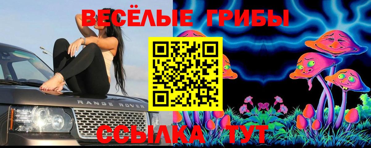 Псилоцибиновые грибы мухоморы Михайловка