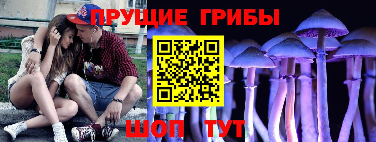 Псилоцибиновые грибы GOLDEN TEACHER  Вход с VPN  Михайловка 
